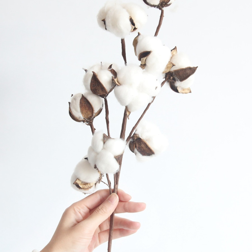 Meet your Posher, The Cotton Broker